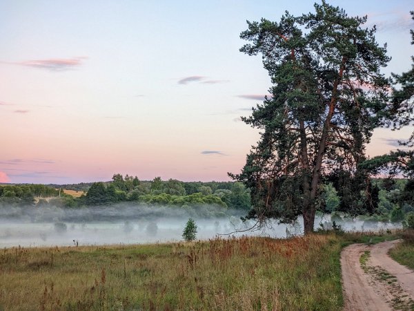 Зарождающийся туман